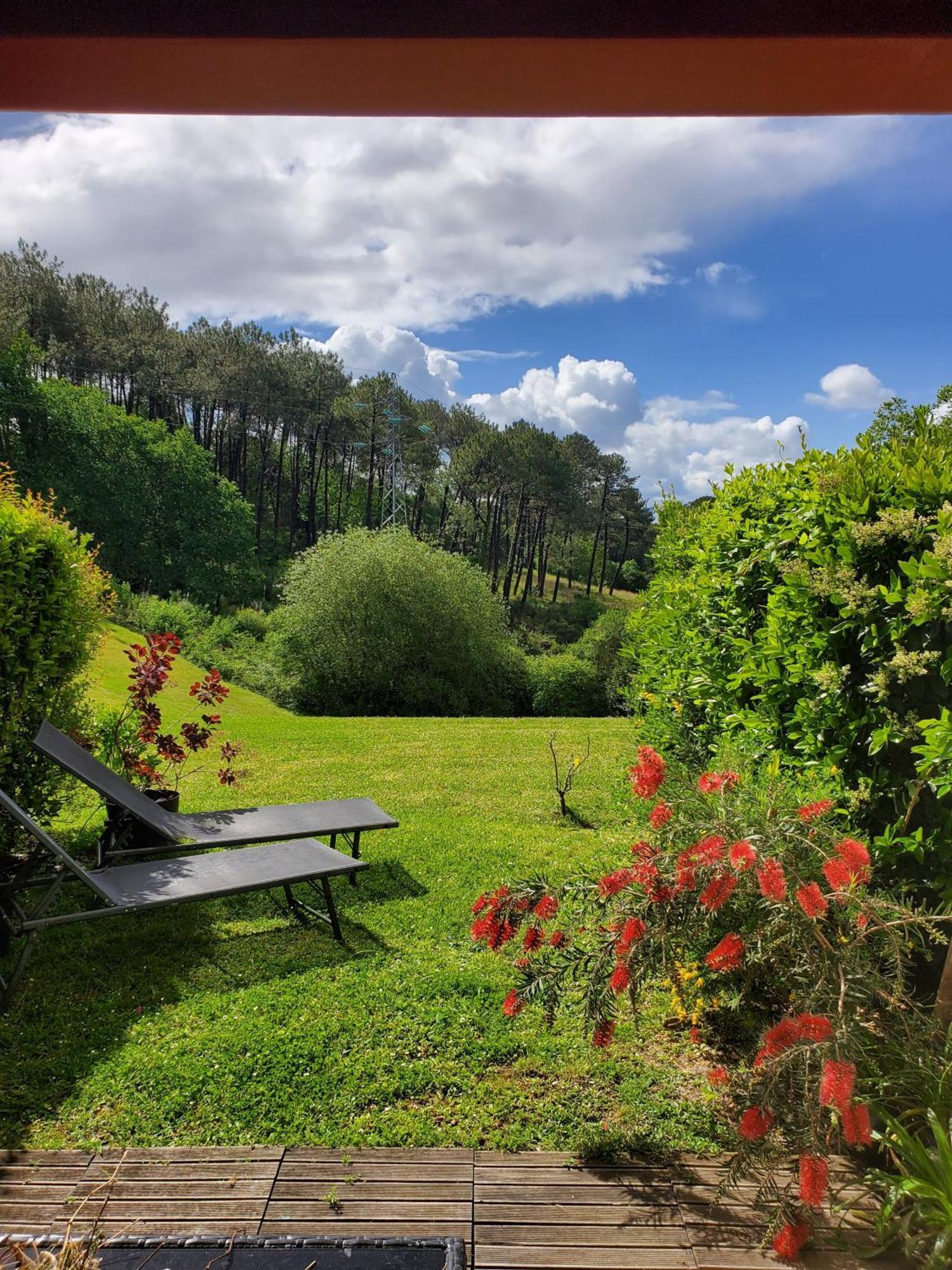 Appartement Calme Avec Jardin Bidart Biarritz Exterior foto